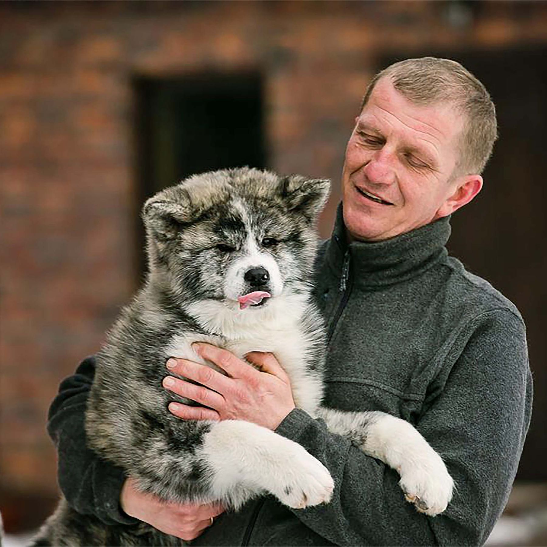 Тачі, Бронювання цуценя, Хлопчик